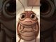 Some tips from our cute little insects!!!! #monetize #ai #beginners #ghiblistyle