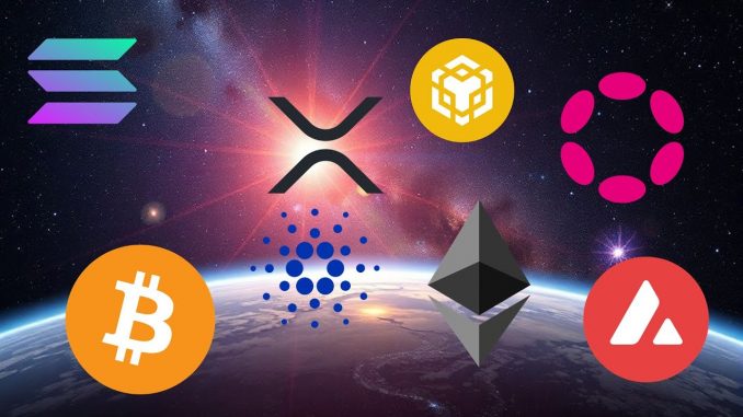 Top Cryptocurrencies Explained in 3D – Beginner’s Guide #Finance