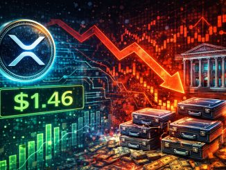 XRP Holds $1.46, But Institutional Accumulation Signals Weakness