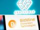 Grayscale, Bitmine stake nearly $500 million in Ethereum: On-chain data