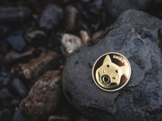 Return Of The Top Dog: Binance Whales Are Betting That The Shiba Inu Price Will Blow Up