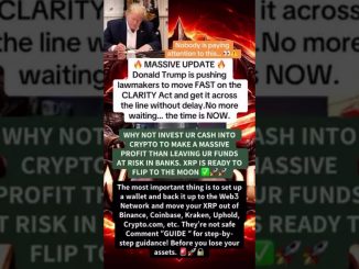 #3twarrioracademy #duet #xrparmy #cryptocurrency #crypto #news #clarity #financialfreedom #memes