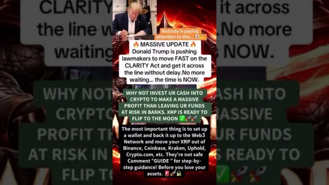 #3twarrioracademy #duet #xrparmy #cryptocurrency #crypto #news #clarity #financialfreedom #memes