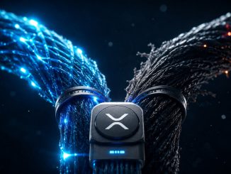 XRPL’s May 27 upgrade shows how validators and markets decide a blockchain split