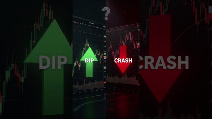 Crypto Dip vs Crash: What’s the Difference | Cryptocurrency Investing Guide 2026 | Thecryptoupdate24
