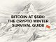 Bitcoin Market Correction: The Ultimate Crypto Survival Guide