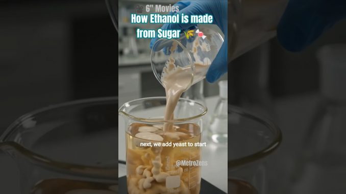 How #ethanol made from #sugar #news #entertainment #science #awareness #public #currentaffairs #ai