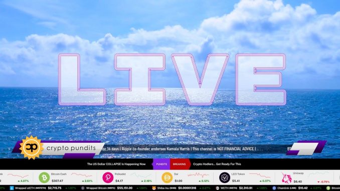 LIVE Crypto & Bitcoin Price, Market News & Influencers | Crypto Pundits
